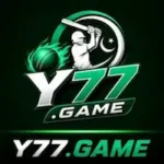 Y 77 Game Download