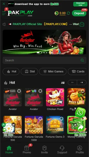 pakplay game