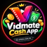 Vidmate Cash App